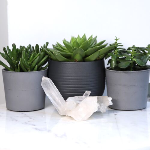 Lemurian Quartz Cluster