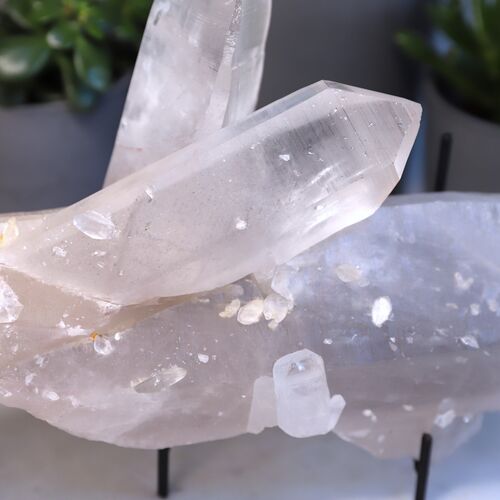 Lemurian Quartz Cluster