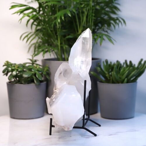 Lemurian Quartz Cluster