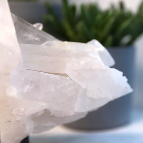 Lemurian Quartz Cluster