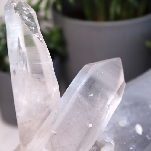Lemurian Quartz Cluster