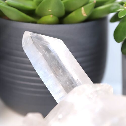 Lemurian Quartz Cluster