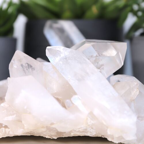 Lemurian Quartz Cluster