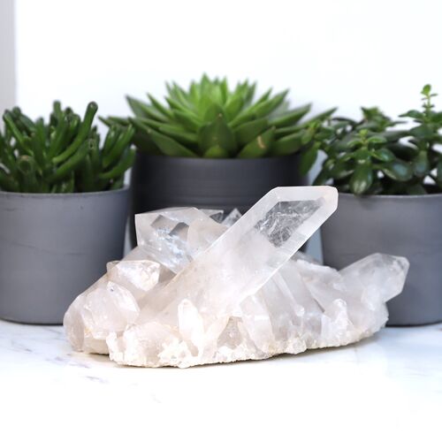 Lemurian Quartz Cluster