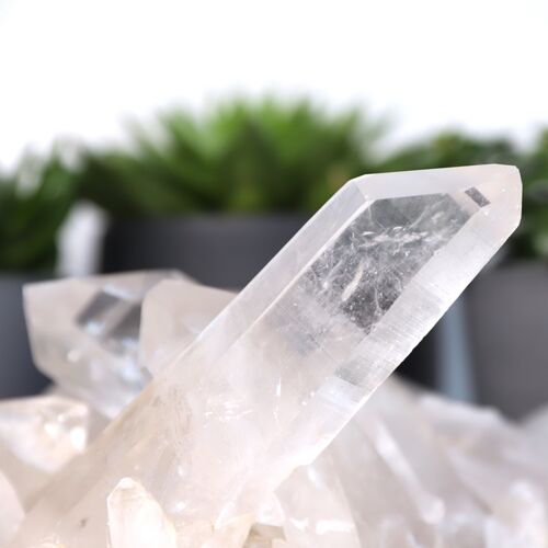 Lemurian Quartz Cluster