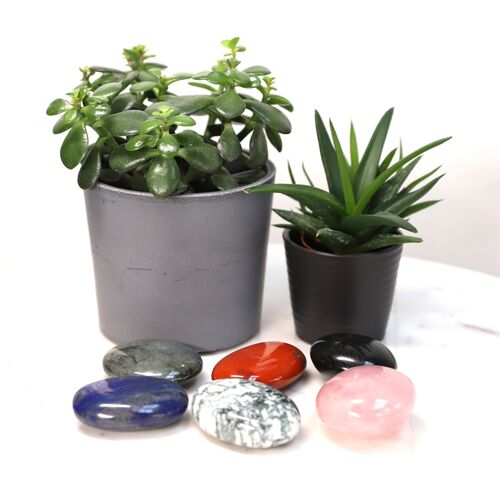 Luxury Palm Stone Gift Set