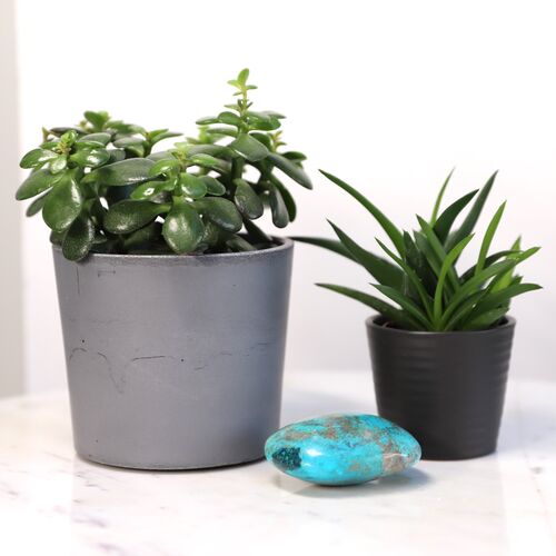 Chrysocola Palm Stone