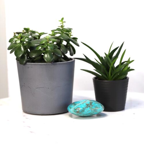 Chrysocola Palm Stone