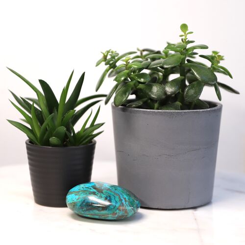 Chrysocola Palm Stone