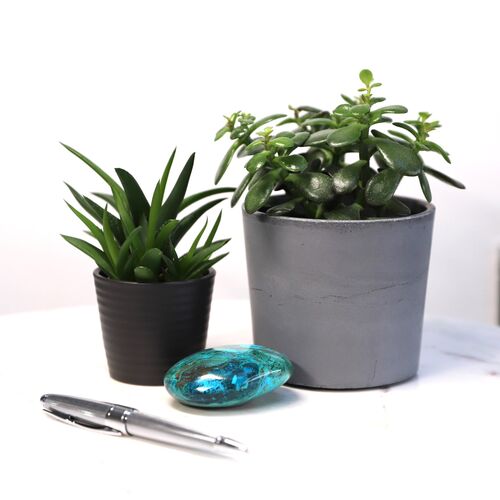 Chrysocola Palm Stone