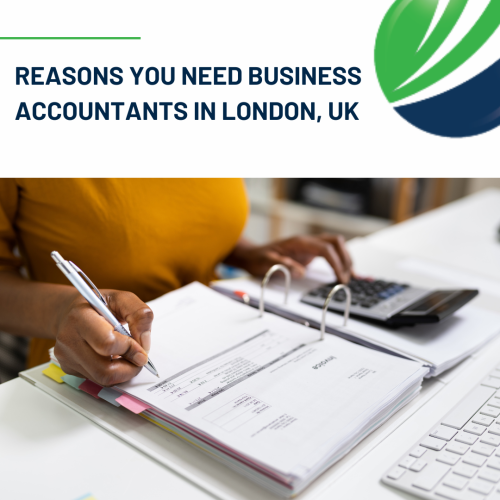 Reasons You Need Business Accountants in London, UK
