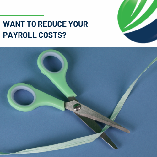 Want to reduce your payroll costs?