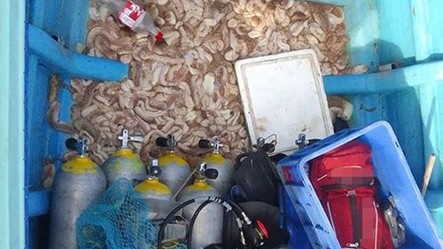 கல்பிட்டியில் சட்டவிரோதமான முறையில் கடல்  அட்டைப் பிடித்த  03 பேர் கைது