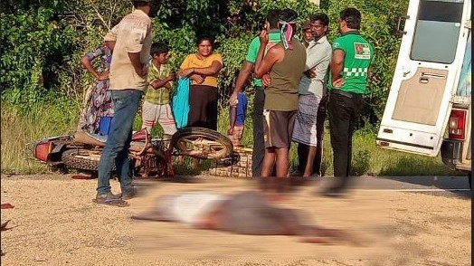 நெல்லைக் காக்க விலகியவரைக் காலன் கவர்ந்தான்