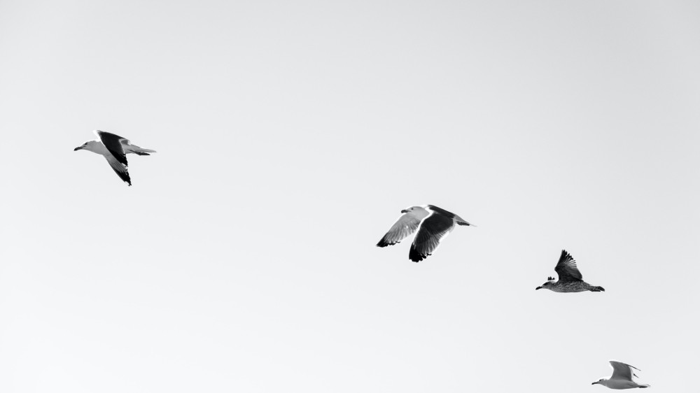 அடுத்துமொரு சர்வதேசப் பரவல்