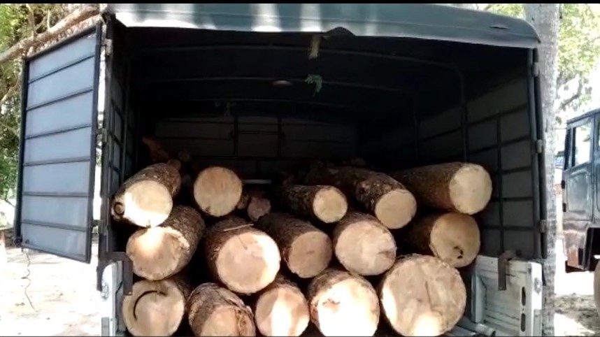 சட்டவிரோத மரக் கடத்தல் முறியடிப்பு