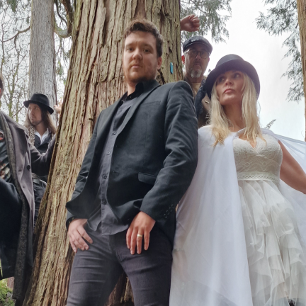 FLEETWOOD MAC TRIBUTE BAND