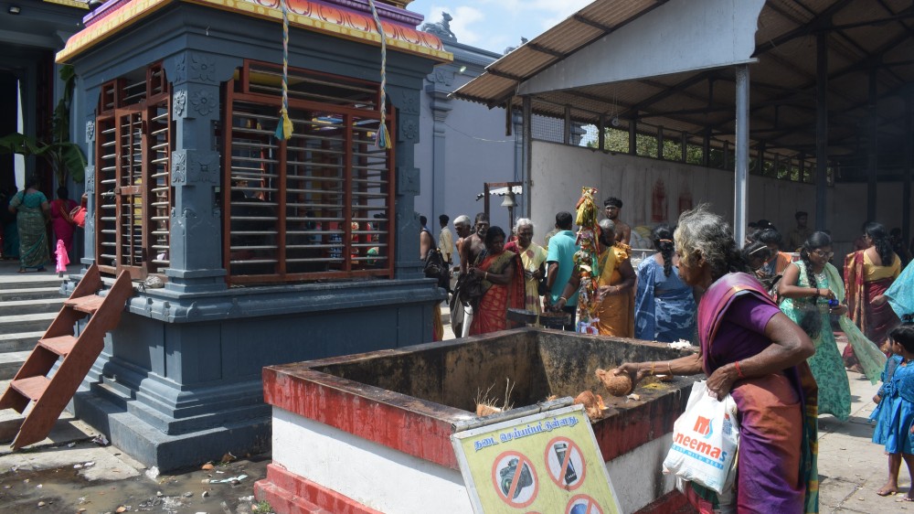 சிவராத்திரியை முன்னிட்டு பல்லாயிரக்கணக்கான பக்தர்கள் வருகை