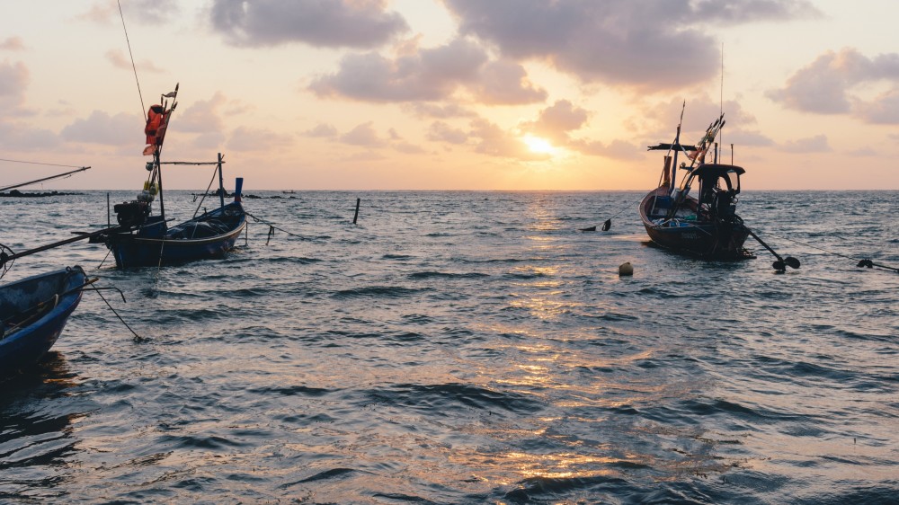 இலங்கை கடற்பரப்பில் இந்திய மீன்பிடி வத்தைகள்