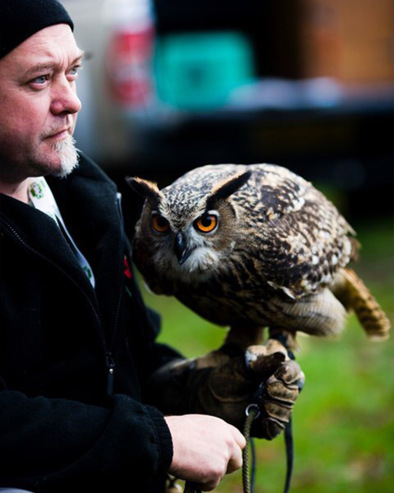 Exotic animal provider UK