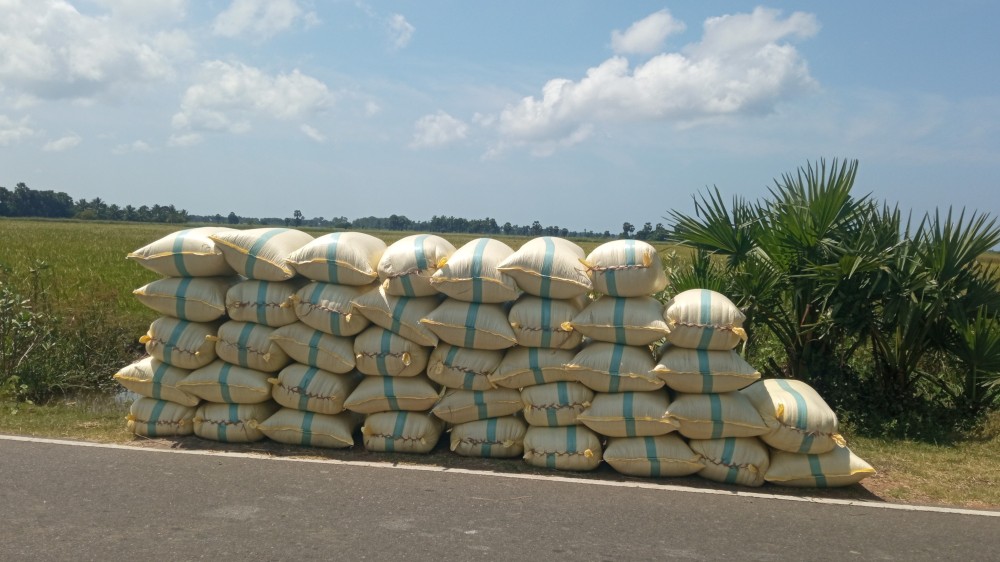 நெல்லுக்குரிய நிர்ணய விலை வேண்டும்