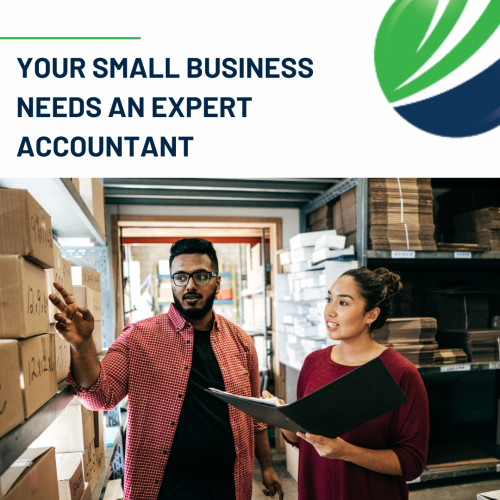 Your Small Business Needs An Expert Accountant