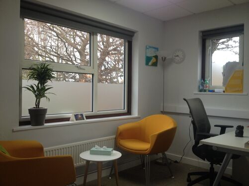 Window Film Image Gallery