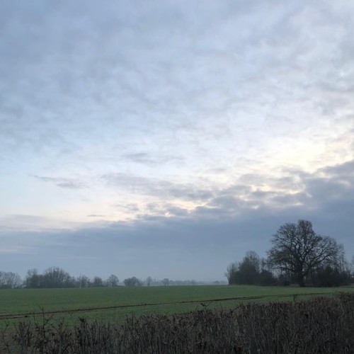 Neurodiversity and Eating Disorders