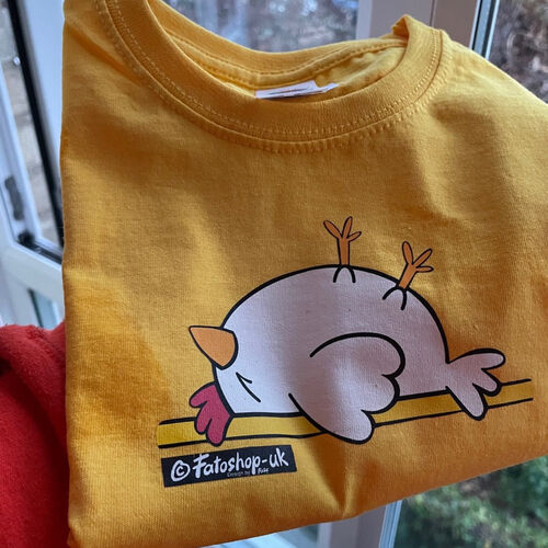 'Sleepy Chicken' T-Shirt