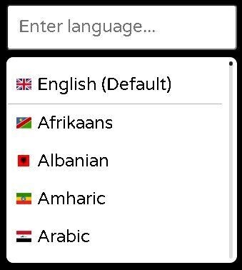 Page Translation Drop Down Menu