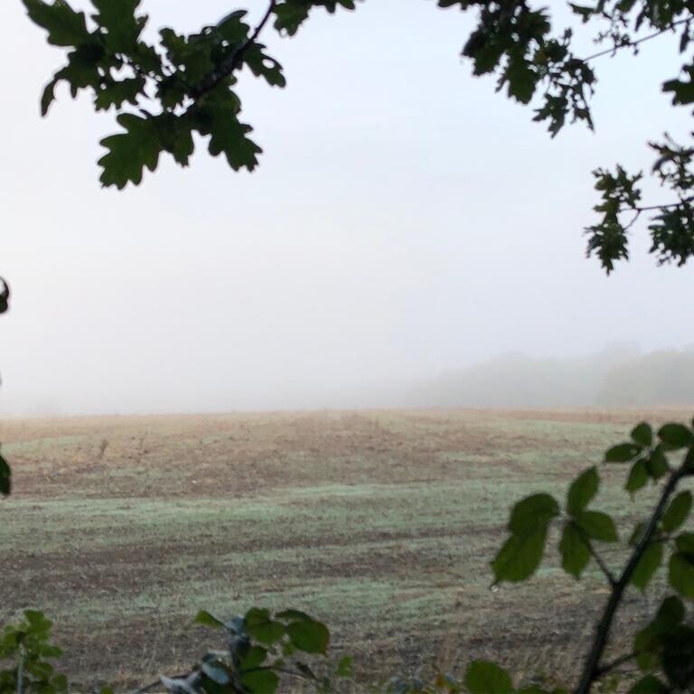 Supporting your Neurodivergent clients with Eating Disorders