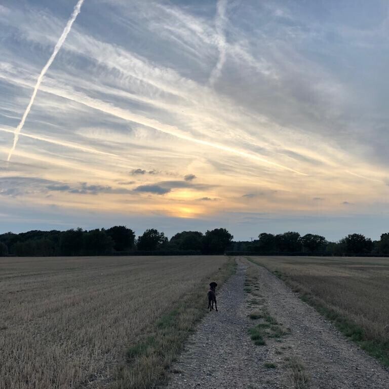 Supporting your Neurodivergent clients with Eating Disorders