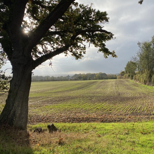 Supporting your Neurodivergent clients with Eating Disorders