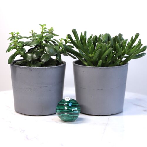 Malachite Polished Sphere