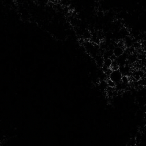 CAESARSTONE EMPIRA BLACK