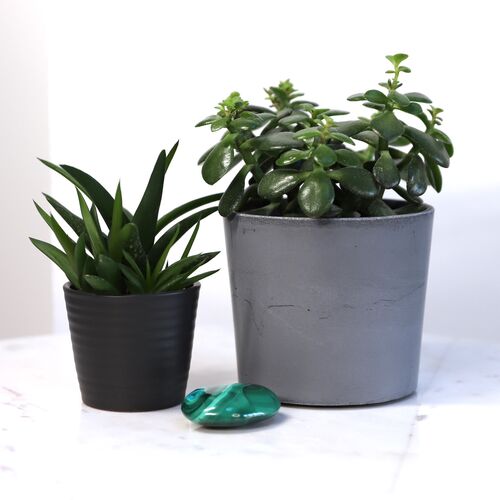 Malachite polished palm stone