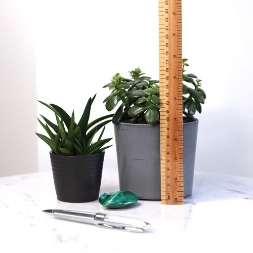 Malachite polished palm stone