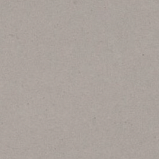 CAESARSTONE RAW CONCRETE