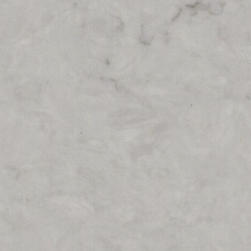 CAESARSTONE NOBLE GREY