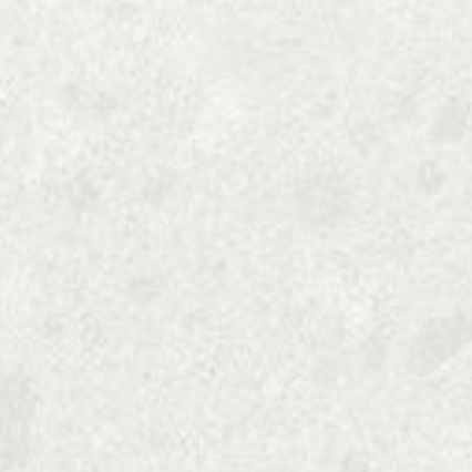 caesarstone organic white