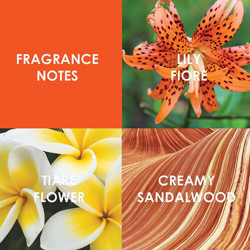 Britney Spears Fantasy EDP 30ml