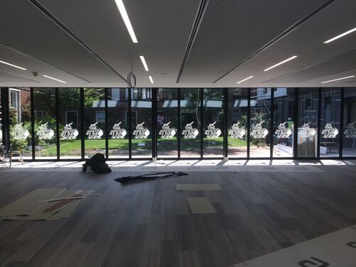 Window Film Image Gallery