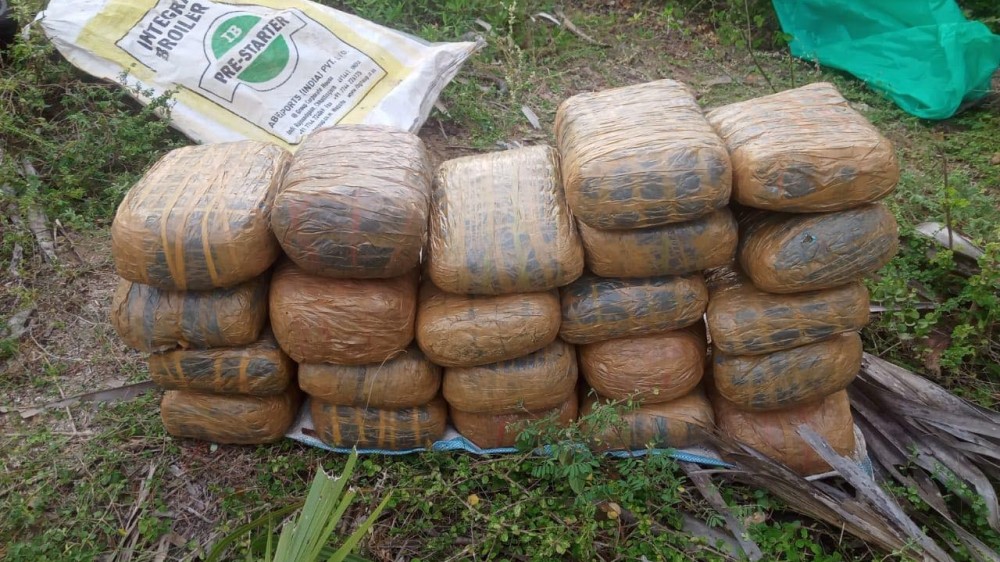 கைப்பற்றப்பட்ட பெருந்தொகையான கஞ்சா