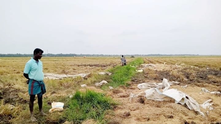 நெல்மூடைகள் துவம்சம்