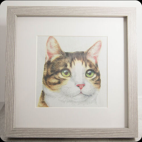 Decoupage Tabby Cat