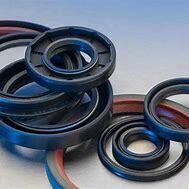 oil seals