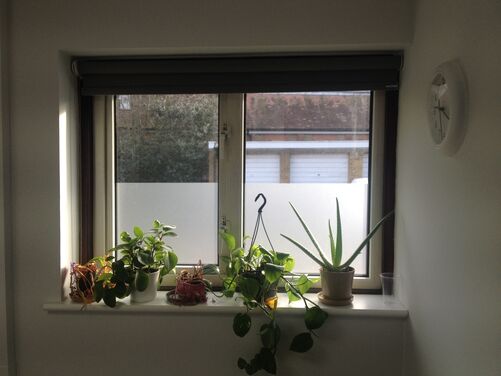 Window Film Image Gallery
