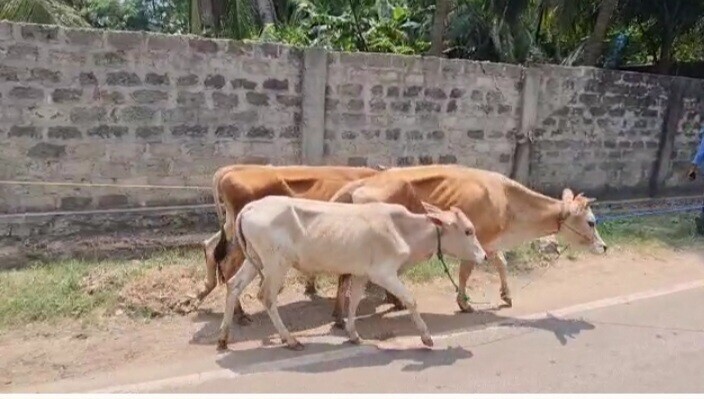 பலவகைச் செய்தித் துணுக்குகள்