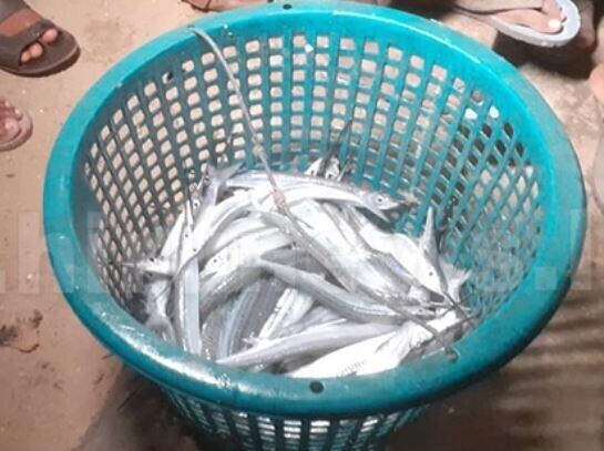 பலவகைச் செய்தித் துணுக்குகள்