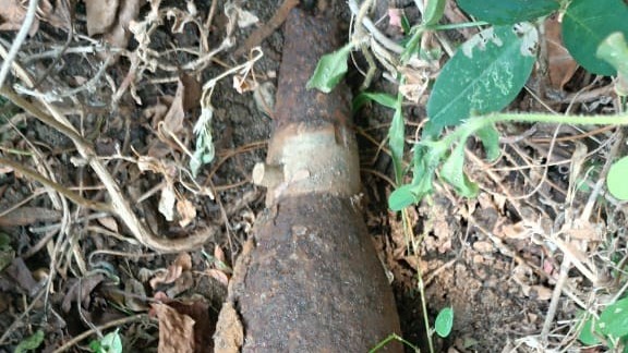 மோட்டார் குண்டு கண்டுபிடிப்பு